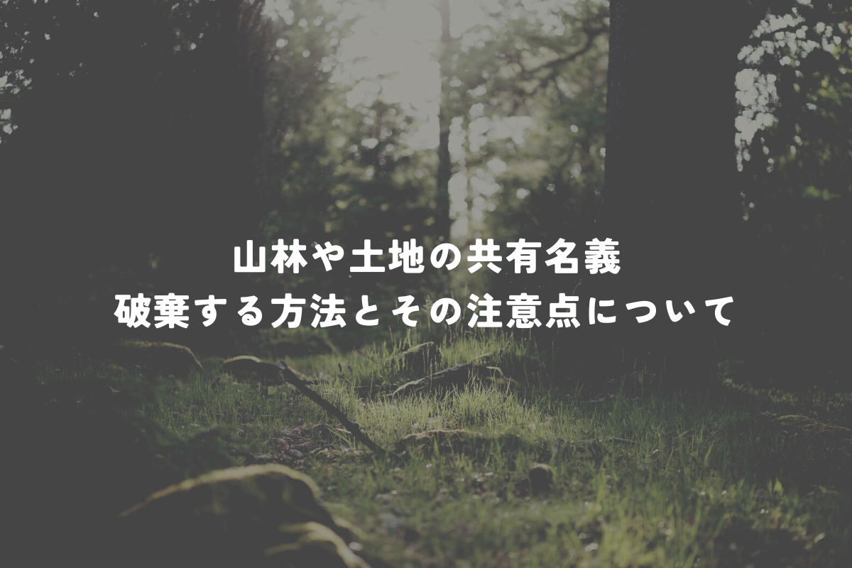 山林や土地の共有名義放棄とは？共有関係解消の方法とその注意点を解説